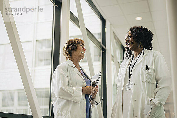 Niedriger Blickwinkel auf eine glückliche Ärztin mit Händen in den Taschen  die mit einem Kollegen im Krankenhaus diskutiert
