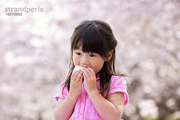 Japanisches Kinderporträt mit blühenden Kirschblüten