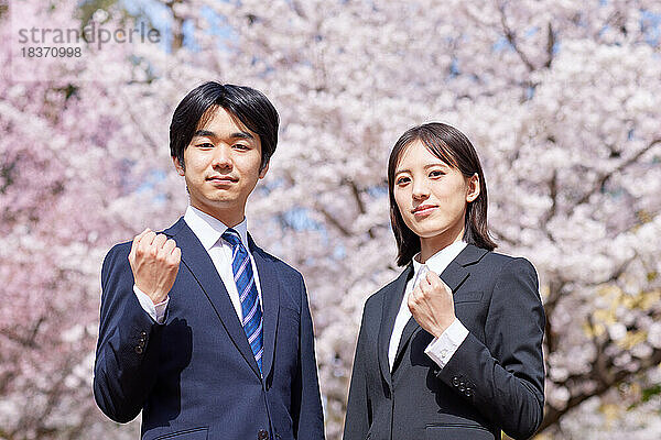 Japanische Erstsemester mit Kirschblüten in voller Blüte