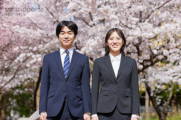 Japanische Erstsemester mit Kirschblüten in voller Blüte