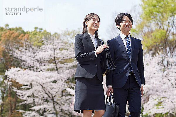 Japanische Erstsemester mit Kirschblüten in voller Blüte