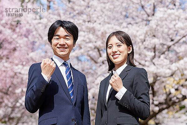 Japanische Erstsemester mit Kirschblüten in voller Blüte