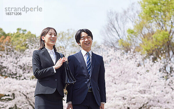 Japanische Erstsemester mit Kirschblüten in voller Blüte