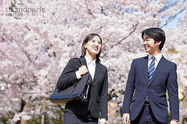 Japanische Erstsemester mit Kirschblüten in voller Blüte