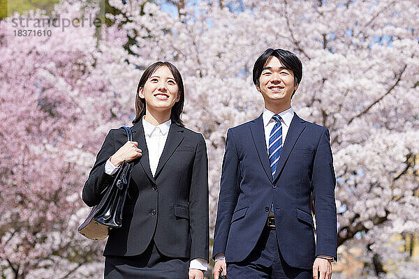 Japanische Erstsemester mit Kirschblüten in voller Blüte