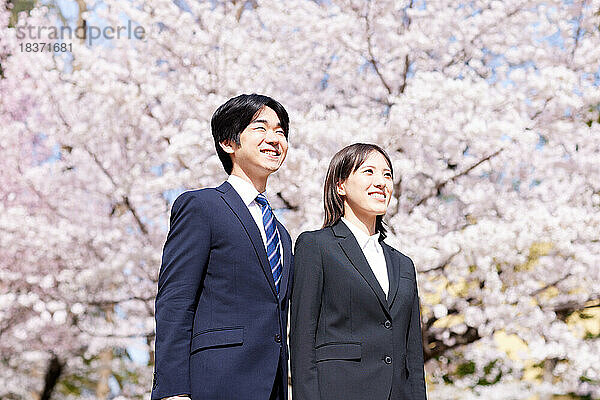 Japanische Erstsemester mit Kirschblüten in voller Blüte
