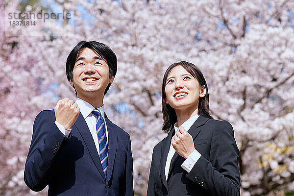 Japanische Erstsemester mit Kirschblüten in voller Blüte