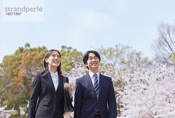 Japanische Erstsemester mit Kirschblüten in voller Blüte