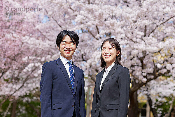 Japanische Erstsemester mit Kirschblüten in voller Blüte