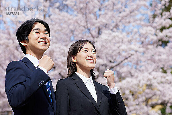 Japanische Erstsemester mit Kirschblüten in voller Blüte