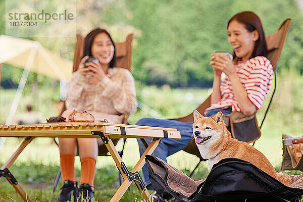 Junge japanische Frauen mit Hund auf dem Campingplatz