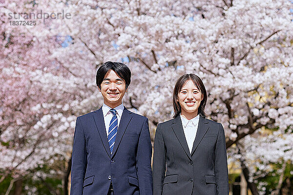 Japanische Erstsemester mit Kirschblüten in voller Blüte