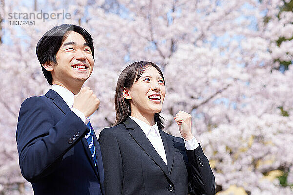 Japanische Erstsemester mit Kirschblüten in voller Blüte