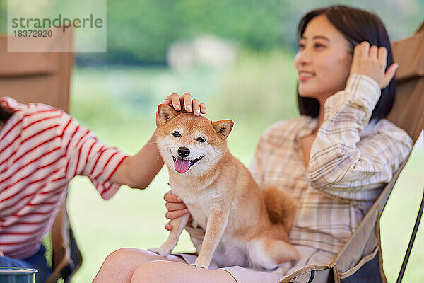 Junge japanische Frauen mit Hund auf dem Campingplatz