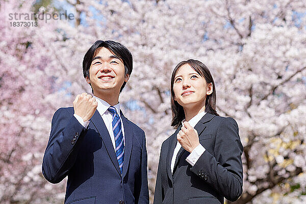 Japanische Erstsemester mit Kirschblüten in voller Blüte