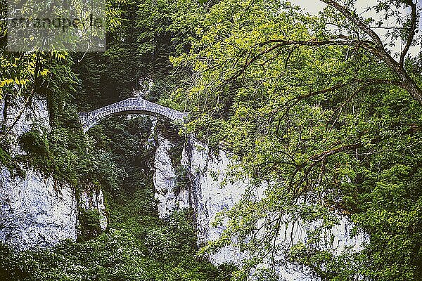 Die fürstliche Teufelsbrücke von Inzigkofen bei Sigmaringen  Deutschland  Europa
