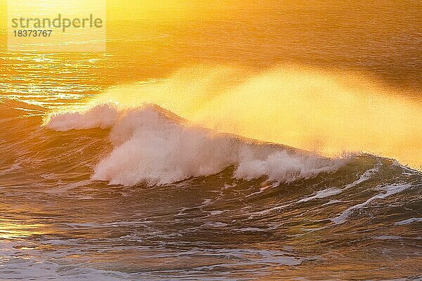 Grosse Welle im Gegenlicht  bricht bei goldenen Abendlicht auf offenem Meer vor der Nordküste Irlands  Fintra Beach im County Donegal