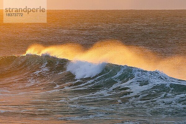 Grosse Welle im Gegenlicht  bricht bei goldenen Abendlicht auf offenem Meer vor der Nordküste Irlands  Fintra Beach im County Donegal