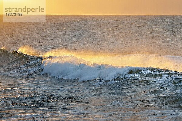 Welle auf offenem Meer bricht im Gegenlicht bei Sonnenaufgang  Nordsee  Helgoland  Deutschland  Europa