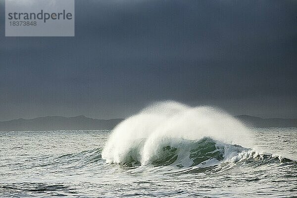 Grosse Welle bricht bei Wintersturm im offenen Meer und bei dramtischem Licht vor der Nordküste Irlands  Fintra Beach im County Donegal