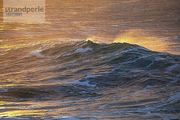 Wellengang des Atlantiks im abendlichen Gegenlicht  vor der Nordküste Irlands  Fintra Beach im County Donegal