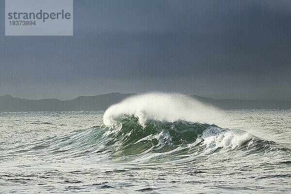 Grosse Welle bricht bei Wintersturm im offenen Meer und bei dramtischem Licht vor der Nordküste Irlands  Fintra Beach im County Donegal