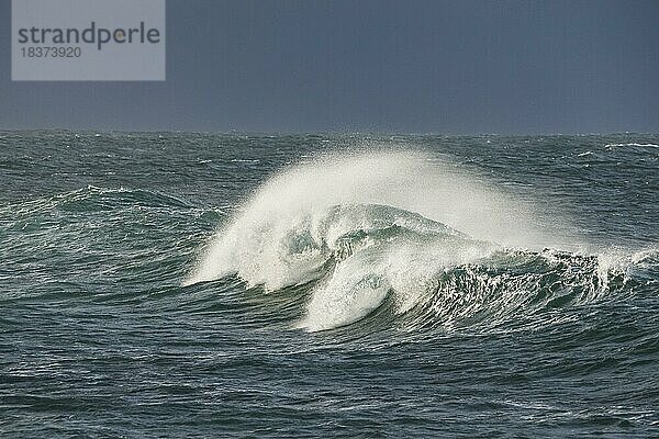 Grosse Welle bricht im offenen Meer an der bretonischen Küste bei Brest  Frankreich  Europa