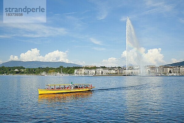 Der Jet deau  und die Mouettes genevoises bei Sonnenschein und blauem Himmel  Wahrzeichen im Genfer Hafenbecken  Kanton Genf  Schweiz  Europa