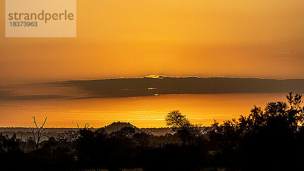 Ein Sonnenaufgang mit Silhouetten der afrikanischen Wildnis.