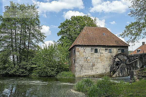 Mallumse Molen  Wassermühle am Fluss Berkel  Eibergen  Gemeinde Berkelland  Niederlande  Europa