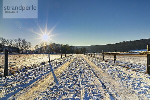 Weg in einer Schneelandschaft und Natur im Sonnenaufgang  Ternitz  Niederösterreich  Österreich  Europa