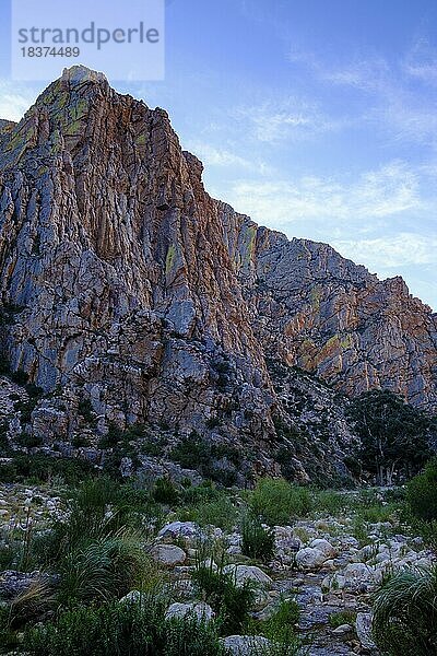 Quarzitfelsen Swartbergstraße  Swartberg Pass  Swartberge  bei Prince Albert  Karoo  Westkap  Western Cape  Südafrika