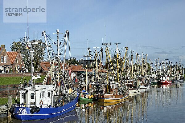 Krabbenkutter im Hafen von Greetsiel  Nordsee  Niedersachsen  Deutschland  Europa