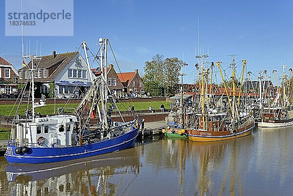 Krabbenkutter im Hafen von Greetsiel  Nordsee  Niedersachsen  Deutschland  Europa