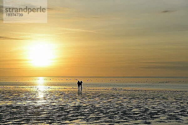 Sonnenuntergang über dem Wattenmeer  zwei Personen stehen im Watt  Nordsee  Norddeich  Niedersachsen  Deutschland  Europa