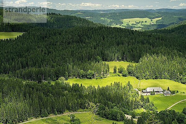 Ein Bauernhof  umgeben von Wald und Wiesen  bei Sonne und Wolken  Schwarzwald  Baden-Württemberg  Deutschland  Europa