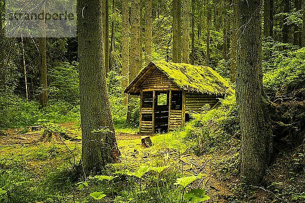 Die Rötenbachschluchthütte im Wald  mit Moos auf dem Dach  Rötenbachschlucht  Schwarzwald  Baden-Württemberg  Deutschland  Europa