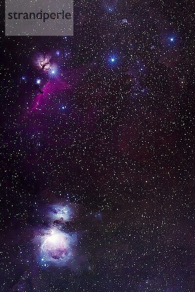 Orionnebel in Deep Sky Astrofotografie  200mm f4 DX ISO640  Nord52 26.01.2023