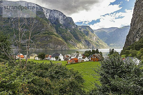 Der Ort Undredal am Aurlandsfjord in der Provinz Vestland  Norwegen  Europa