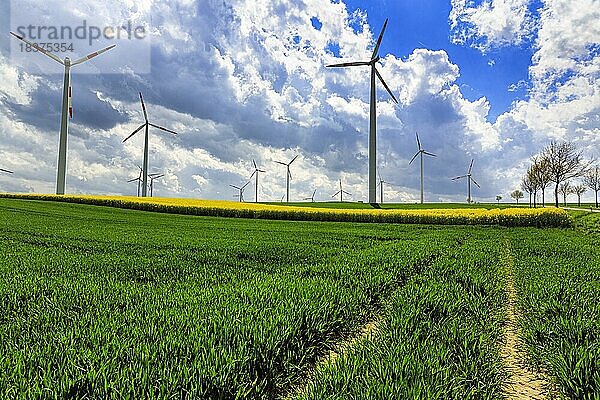 Windkraftanlage im ländlichen Raum  Windräder auf einem Feld im Frühling  Höxter  Deutschland  Europa