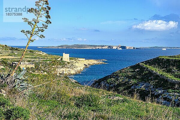 Blick auf im Hintergrund Insel Comino  mitte vorne kleiner Fjord Mgarr ix-Xini mit historischer Wachturm  Insel Gozo  Malta  Europa