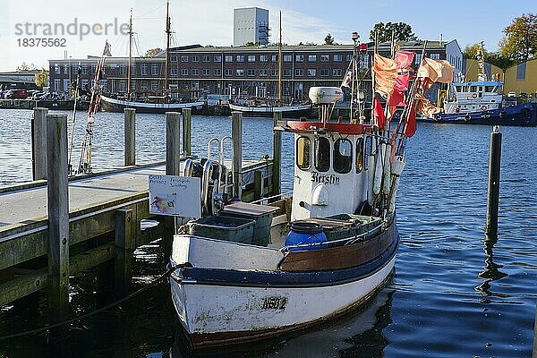 Fischerboot im Hafen  Neustadt in Holstein  Ostsee  Schleswig-Holstein  Deutschland  Europa