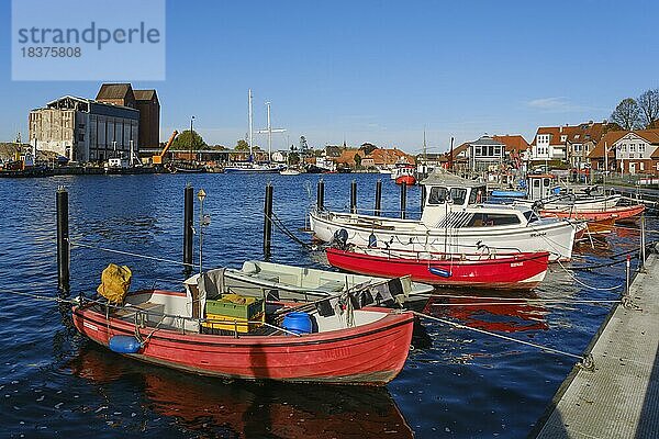 Fischerboote im Hafen  Neustadt in Holstein  Ostsee  Schleswig-Holstein  Deutschland  Europa