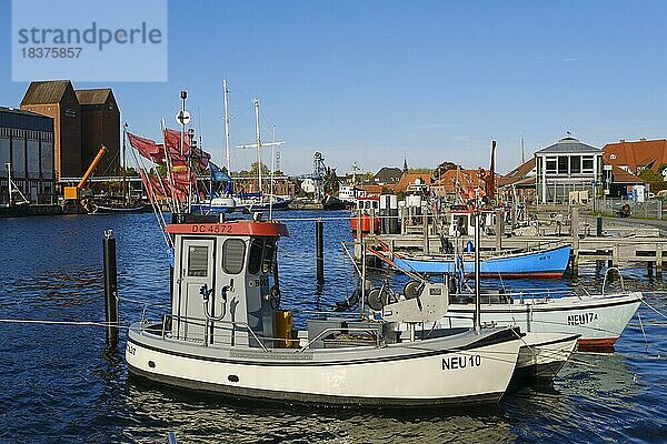 Fischerboote im Hafen  Neustadt in Holstein  Ostsee  Schleswig-Holstein  Deutschland  Europa