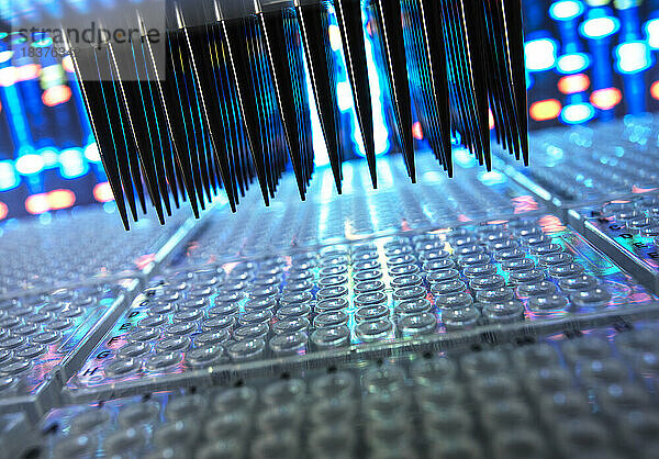 Wissenschaftliche Proben in Mikroplatten werden für die Forschung im Labor vorbereitet