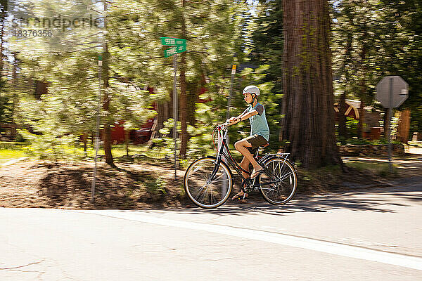 USA  Kalifornien  Tahoe City  Junge (12-13) fährt Fahrrad auf der Straße