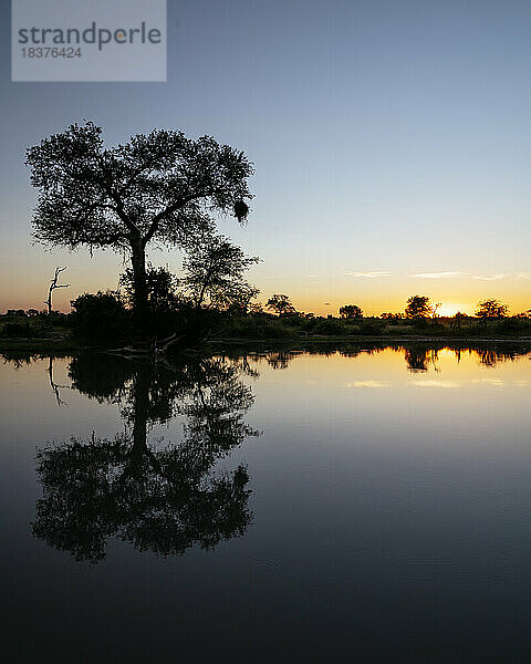 Südafrika  Krüger-Nationalpark  Silhouetten von Bäumen am See bei Sonnenuntergang