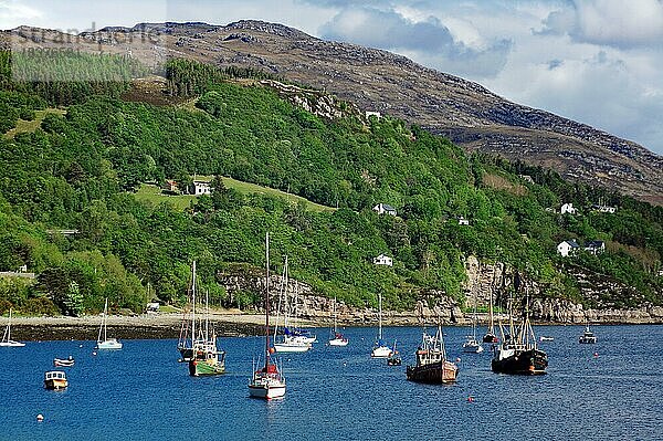 Kleiner Hafen mit vielen Fischer- und Freizeitbooten  Ullapool  Highlands  Schottland  Großbritannien  Europa