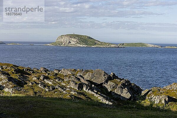 Hornøya  Hornoya  Sommer  Vogelinsel  Vogelfelsen  bei Vardö  Vardø  Varangerfjord  Finnmark  Nordnorwegen  Norwegen  Europa