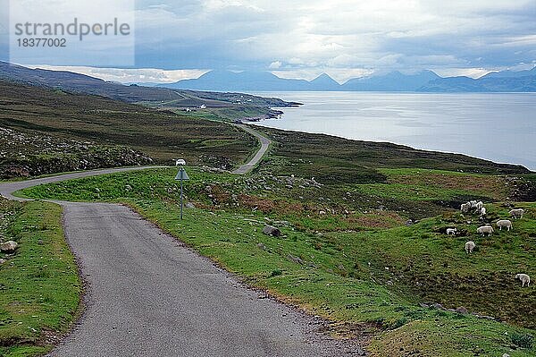 Schmale  einspurige Straße  windet sich durch weite  grüne Landschaften am Meer entlang. Applecross  Highlands  Schottland  Großbritannien  Europa